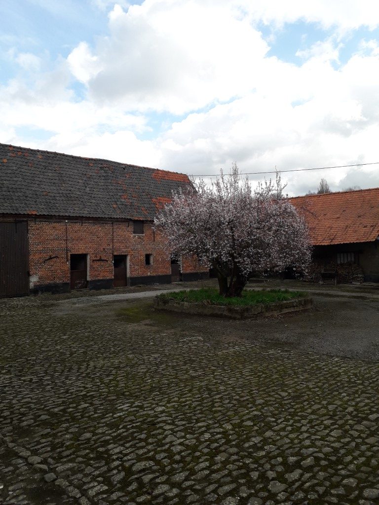 Technieken en binnenafwerking historische hoeve in Anzegem — voor de werken