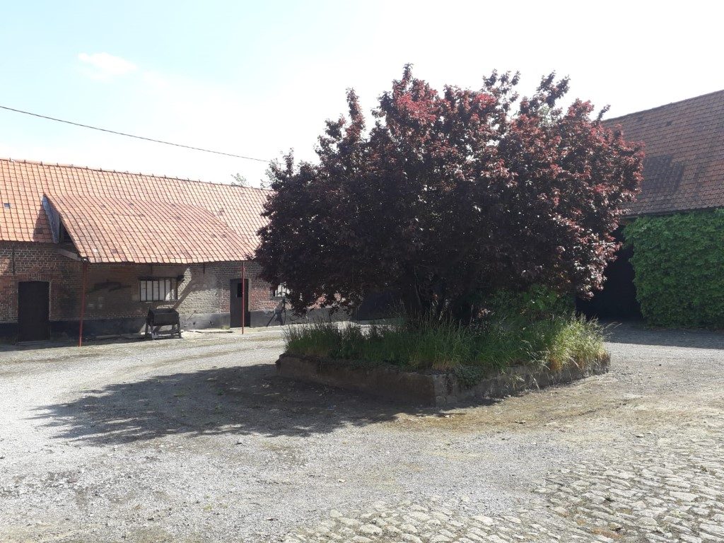 Technieken en binnenafwerking historische hoeve in Anzegem — voor de werken